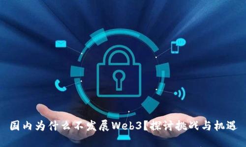 国内为什么不发展Web3？探讨挑战与机遇