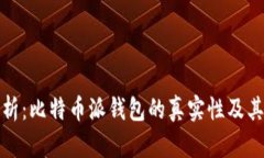 深入解析：比特币派钱包