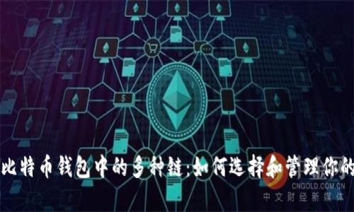 全面解析比特币钱包中的多种链：如何选择和管理你的数字资产