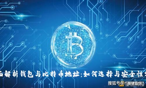全面解析钱包与比特币地址：如何选择与安全性分析