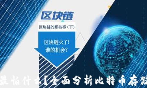 
比特币电子钱包最怕什么？全面分析比特币存储风险与安全策略