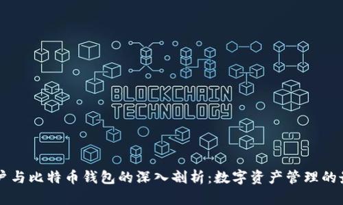 货币账户与比特币钱包的深入剖析：数字资产管理的最佳实践
