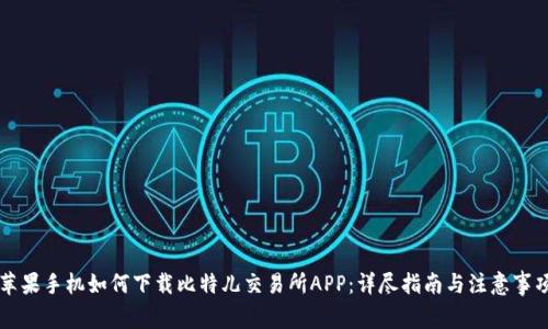 苹果手机如何下载比特儿交易所APP：详尽指南与注意事项