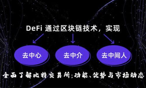 全面了解比特交易所：功能、优势与市场动态