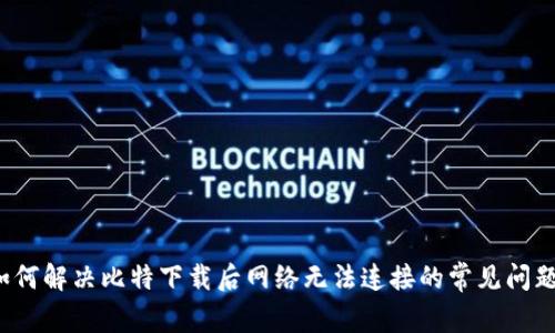 如何解决比特下载后网络无法连接的常见问题？