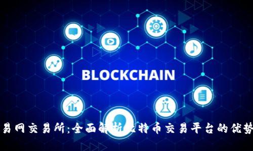 比特交易网交易所：全面解析比特币交易平台的优势与挑战