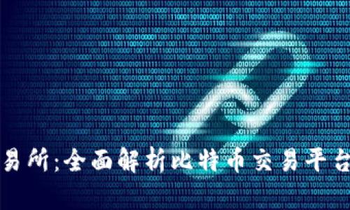 比特交易网交易所：全面解析比特币交易平台的优势与挑战