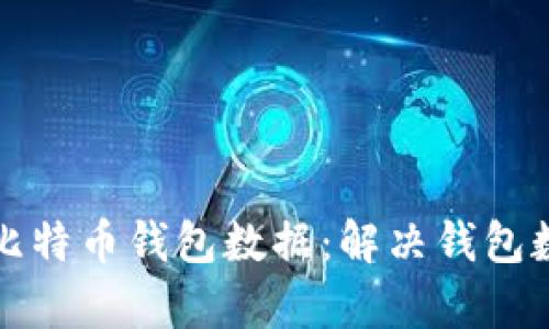 如何有效管理比特币钱包数据：解决钱包数据过大的问题