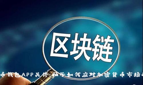 : 比特币钱包APP关停：柚子如何应对加密货币市场的变化?