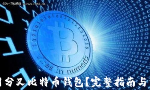 
如何安全使用分叉比特币钱包？完整指南与常见问题解答
