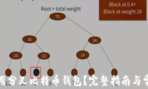 
如何安全使用分叉比特币钱包？完整指南与常见问题解答