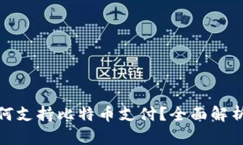 数字钱包如何支持比特币支付？全面解析与应用前景