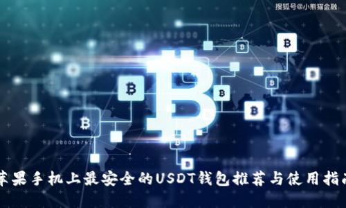 苹果手机上最安全的USDT钱包推荐与使用指南