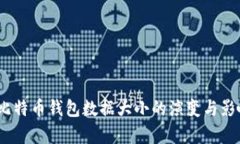 11年比特币钱包数据大小的