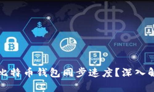 如何有效加快比特币钱包同步速度？深入解析与实用技巧