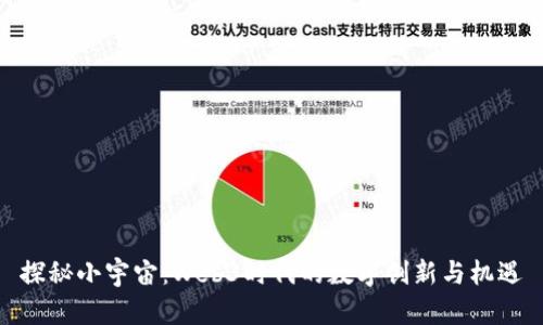探秘小宇宙：Web3时代的数字创新与机遇
