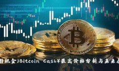 比特现金（Bitcoin Cash）最