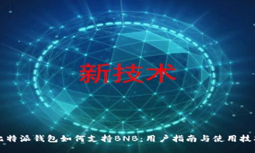 比特派钱包如何支持BNB：用户指南与使用技巧