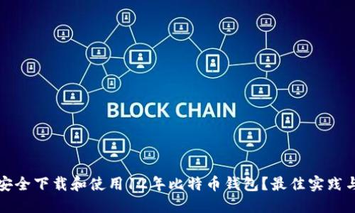 如何安全下载和使用12年比特币钱包？最佳实践与指南
