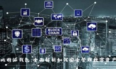 比特派钱包：全面解析如
