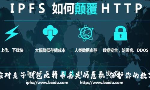 如何应对麦子钱包比特币丢失的危机：保护你的数字资产