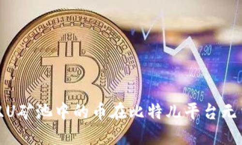 : 如何解决双U矿池中的币在比特儿平台无法体现的问题