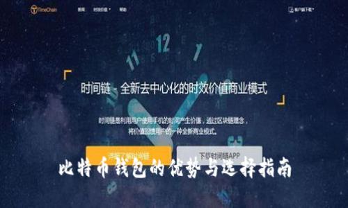比特币钱包的优势与选择指南