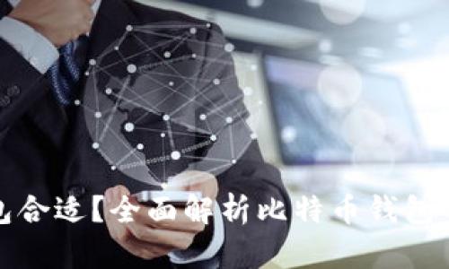 比特币存哪个钱包合适？全面解析比特币钱包的种类与选择攻略