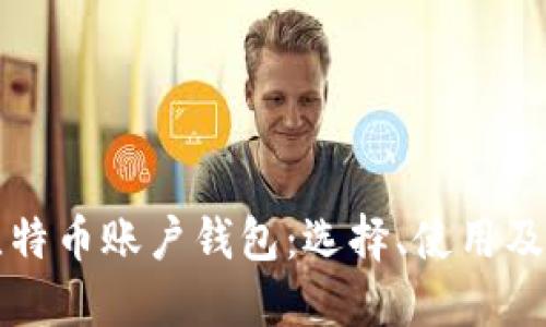 深入探讨比特币账户钱包：选择、使用及安全性指南