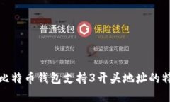 全面解析比特币钱包支持