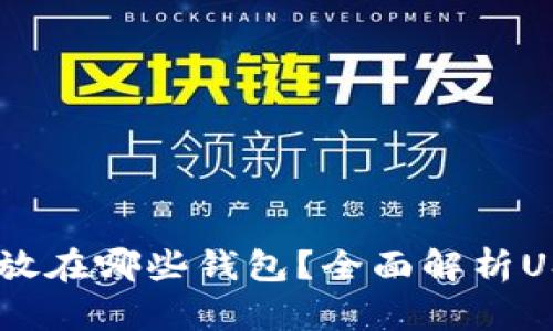 USDT可以存放在哪些钱包？全面解析USDT钱包选择