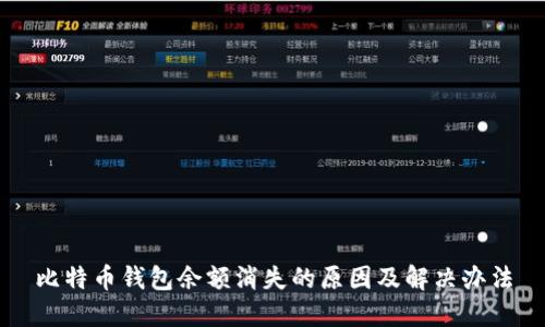 比特币钱包余额消失的原因及解决办法