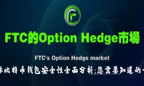 实体比特币钱包安全性全面分析：您需要知道的一切