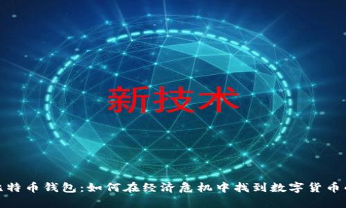 委内瑞拉比特币钱包：如何在经济危机中找到数字货币的生存之道