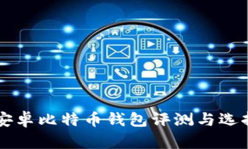 顶级安卓比特币钱包评测与选择指南