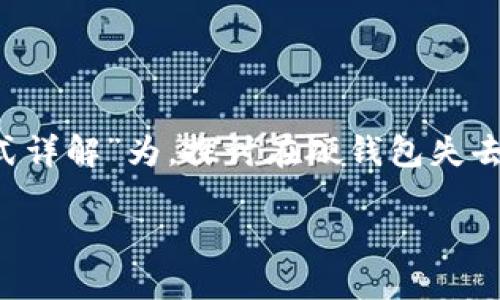 这篇文章将以“比特币硬钱包丢失后的处理方式详解”为，探讨在硬钱包失去后该如何应对，同时提供相关的关键词和内容。

比特币硬钱包丢失后的处理方式详解