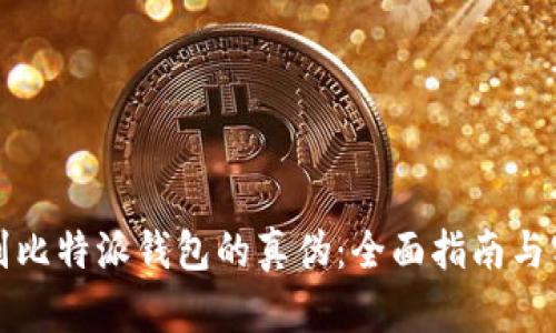 如何辨别比特派钱包的真伪：全面指南与实用技巧
