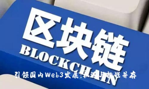 引领国内Web3发展：机遇与挑战并存