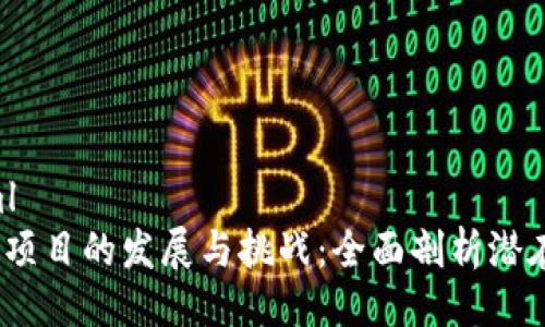 ```xml
Web3项目的发展与挑战：全面剖析潜在风险