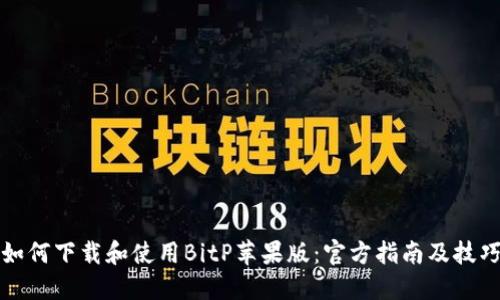 如何下载和使用BitP苹果版：官方指南及技巧