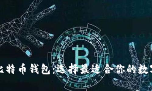 全面解析常见比特币钱包：选择最适合你的数字货币存储方案