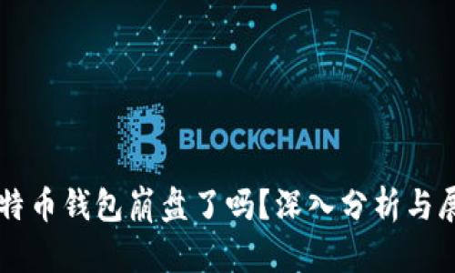 比特币钱包崩盘了吗？深入分析与展望