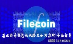 存比特币钱包的风险及如