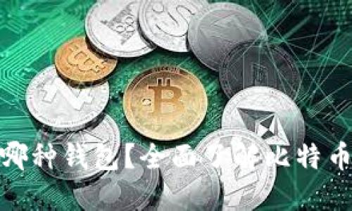 比特币取款机使用哪种钱包？全面了解比特币提现的安全与便捷