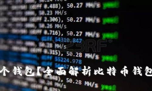 比特币存在哪个钱包？全面解析比特币钱包类型及安全性