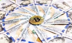 如何将比特派地址导入其