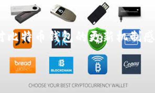 在现代的数字货币市场中，比特币钱包作为存储和管理比特币的工具，其重要性不言而喻。然而，很多人对比特币钱包的更新机制感到困惑。本篇文章将围绕“比特币钱包谁负责更新”这一进行详细探讨，分析其背后的技术逻辑和参与者。

比特币钱包更新的责任与机制分析