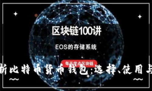 全面解析比特币货币钱包：选择、使用与安全性