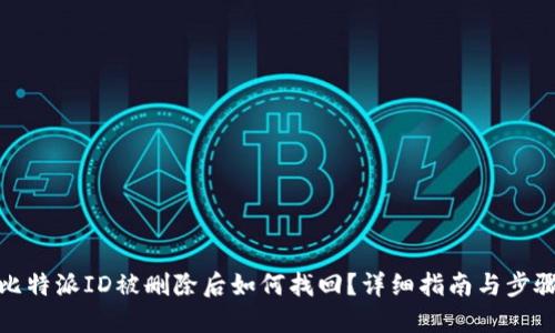 比特派ID被删除后如何找回？详细指南与步骤