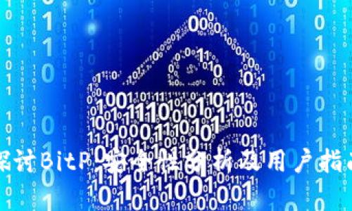 探讨BitP：安全性分析及用户指南